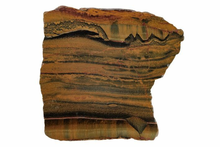 Polished Packsaddle Tiger Eye Slab - Western Australia #216789